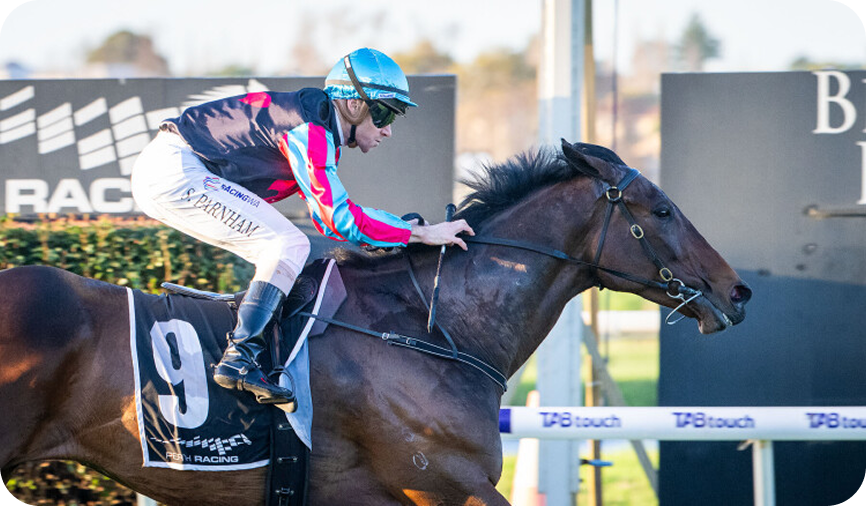 Horse racing photo 9